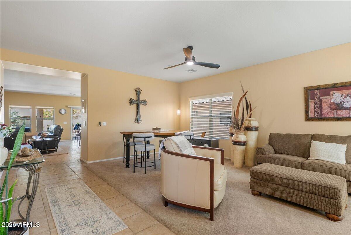 658 W SILVER REEF Court