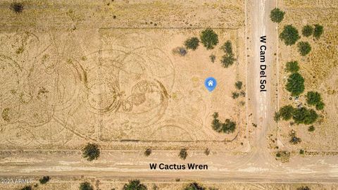  in Casa Grande AZ 0 Cactus Wren --.jpg