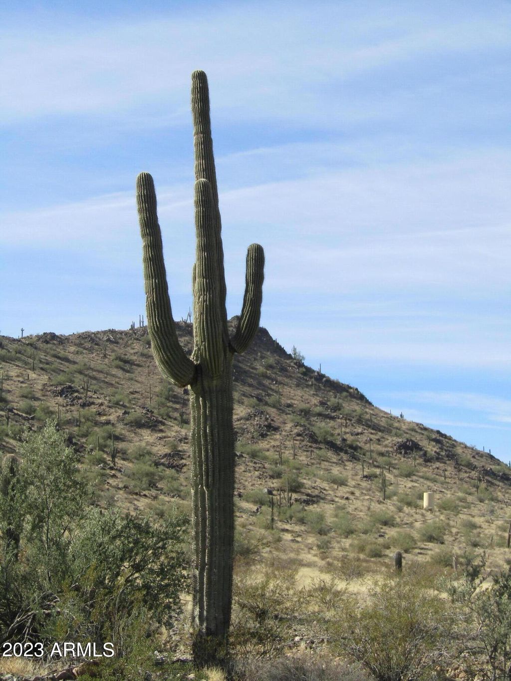 Photo of 0 W Lantern Road #-, Maricopa, AZ 85139 (MLS # 6636311)