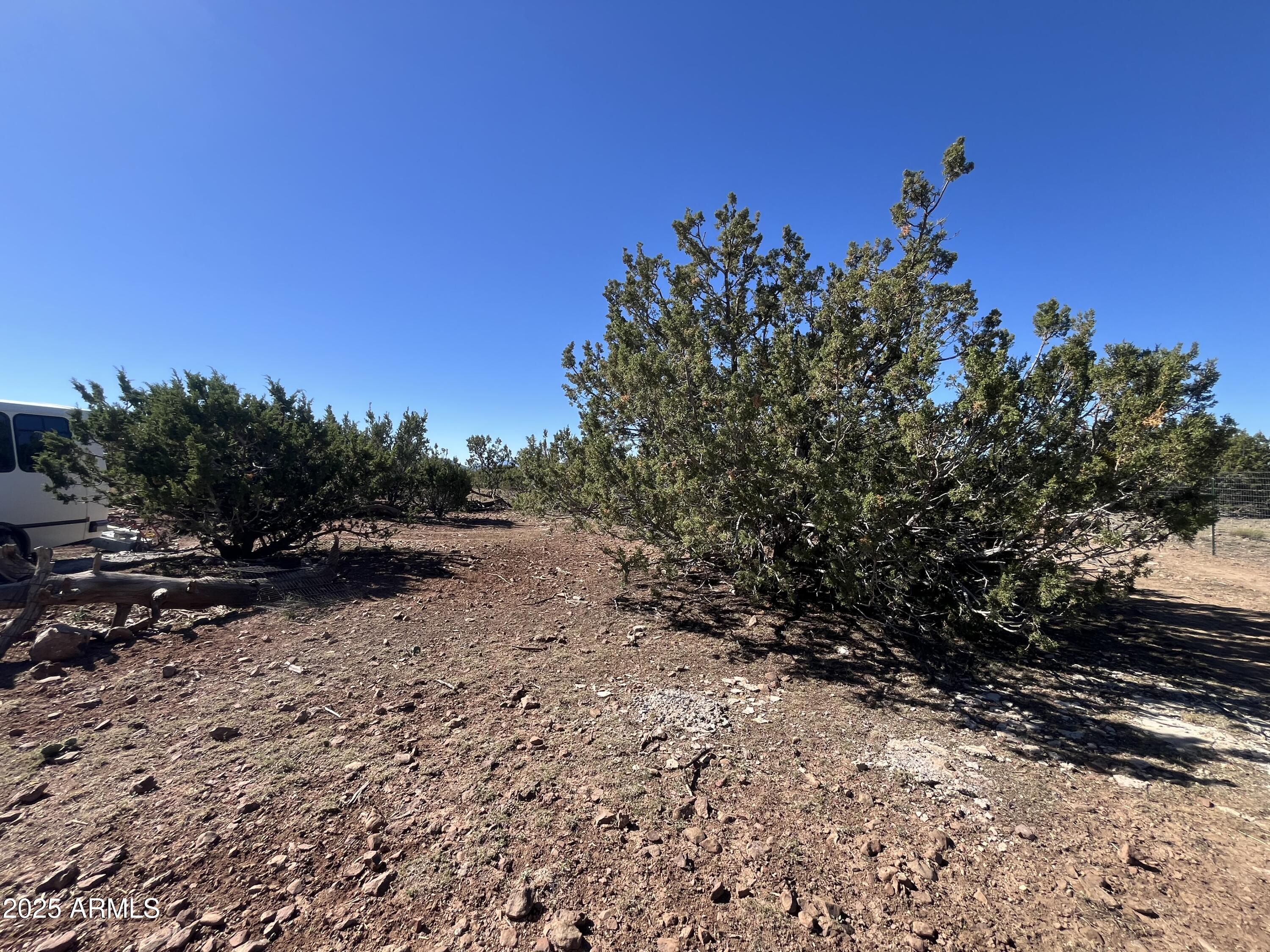 613 MOUNTAIN CAT Road