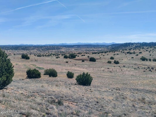 1221 W FARMHOUSE DR # 102, TAYLOR, AZ 85939 - Image c0913e0fc8df3db5771bde4af2bc8d30/1827221908