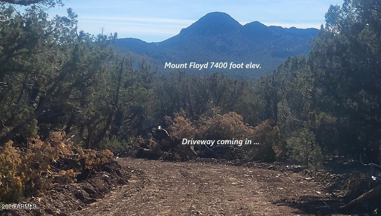 15508 Heaven Scent -- 477