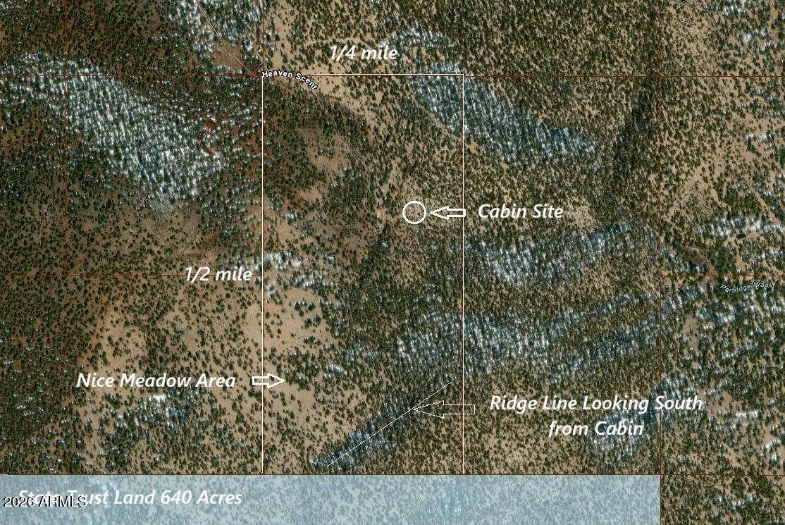 15508 Heaven Scent -- 477