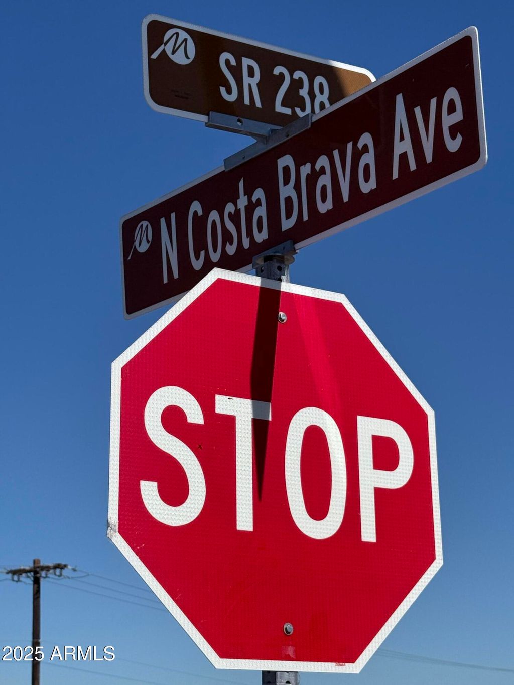 Photo of 44729 W Alamendras Street, Maricopa, AZ 85139 (MLS # 6945523)