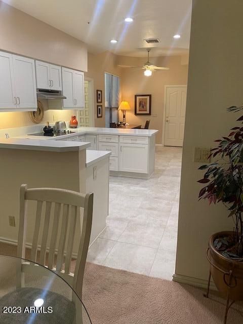 25555 N WINDY WALK Drive 17