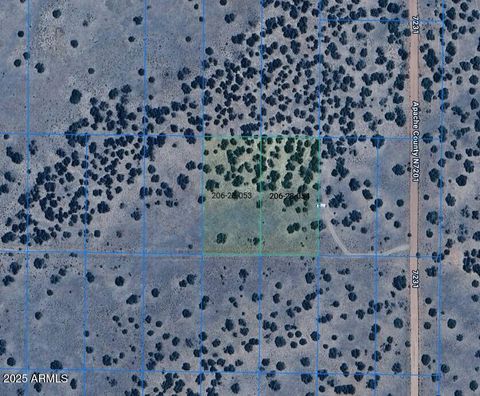 TBD Lot 53 & 54 -- 53 Adamana AZ 85634