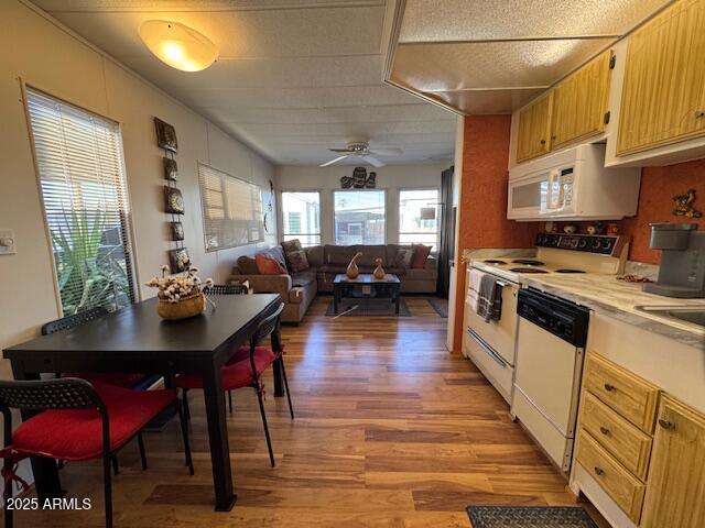 207 E PALO VERDE Lane