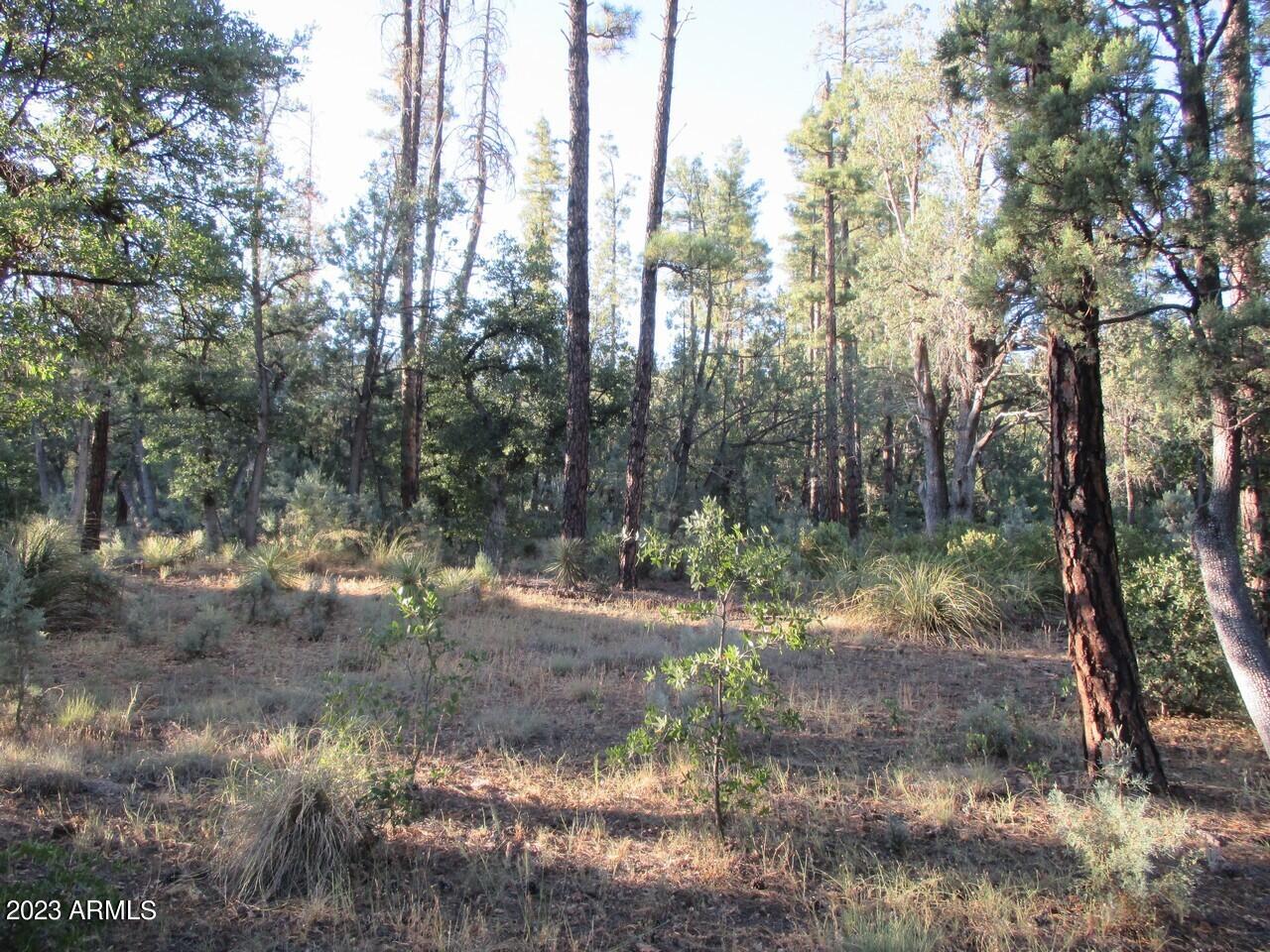 Lot 25K Verde Glen -- -