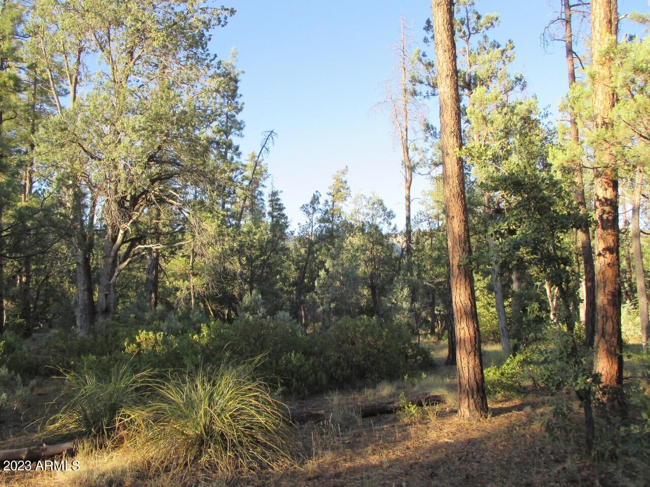 Lot 25K Verde Glen -- -