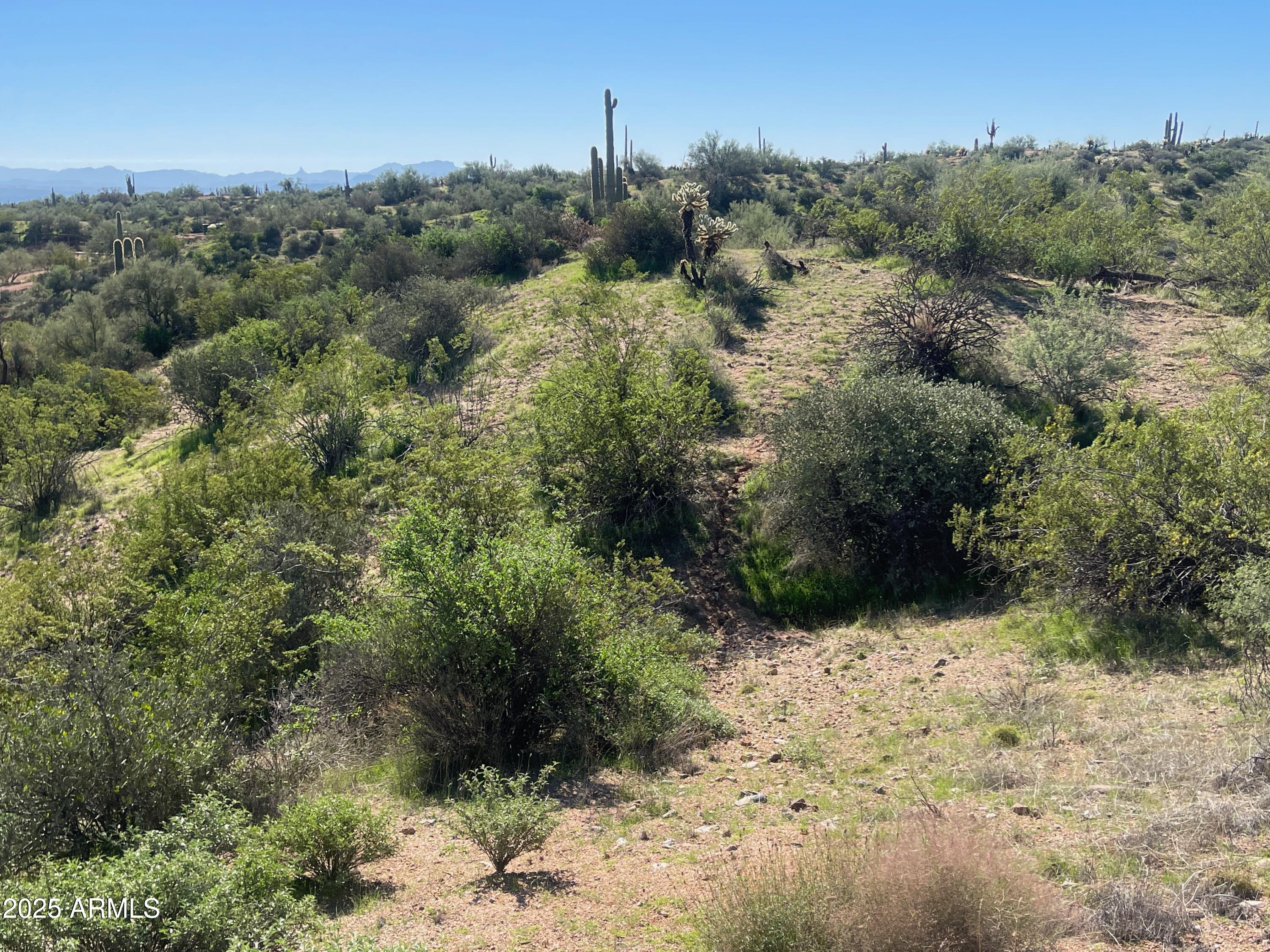 356XX N 142nd Place -