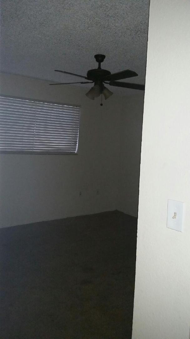 3316 W Tangerine Lane