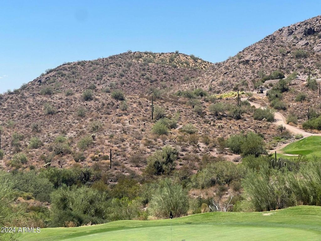 Photo of 9029 E Avenida Fiebre De Oro #24, Gold Canyon, AZ 85118 (MLS # 6919966)