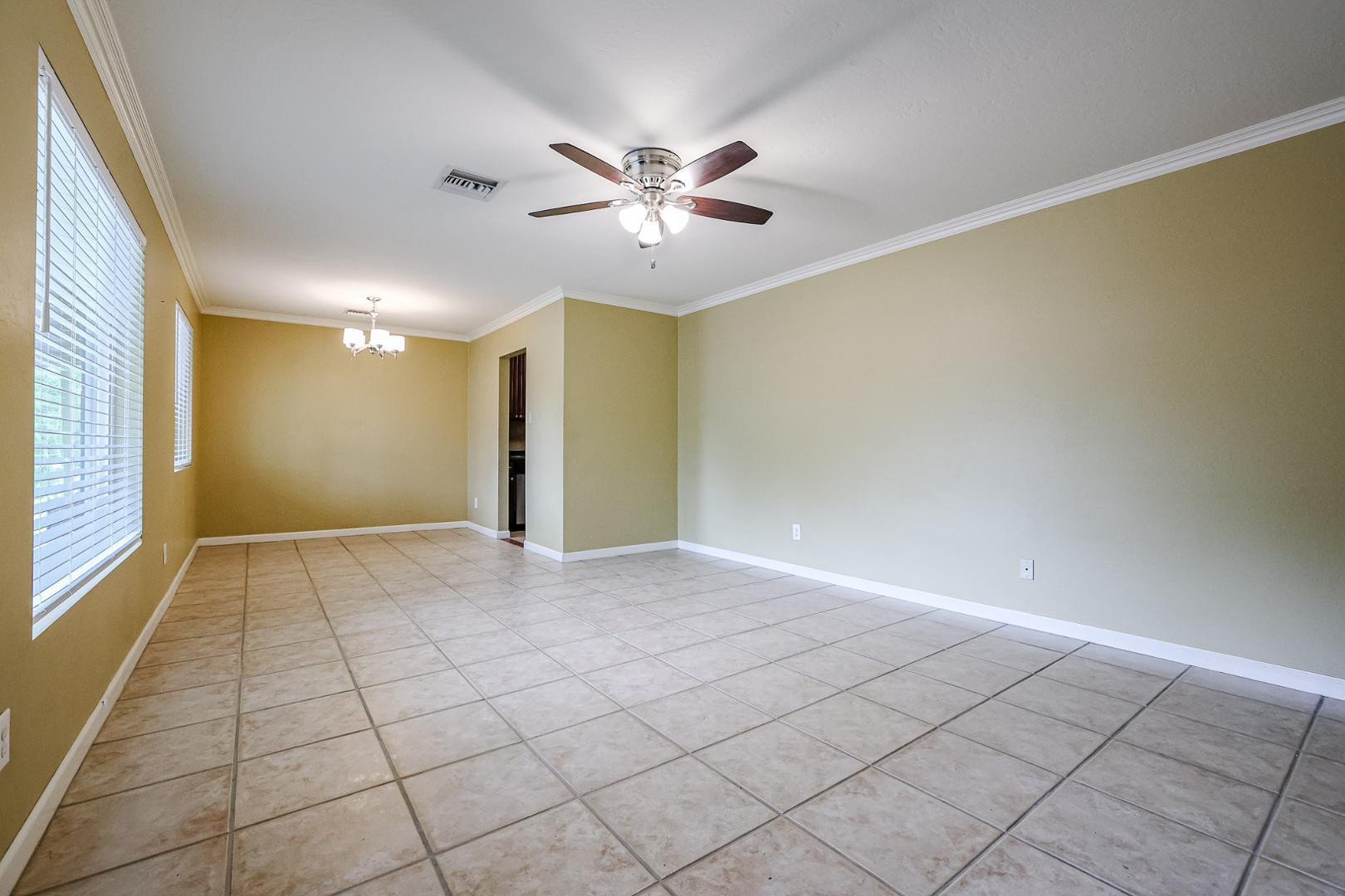 1005 E Cavalier Drive