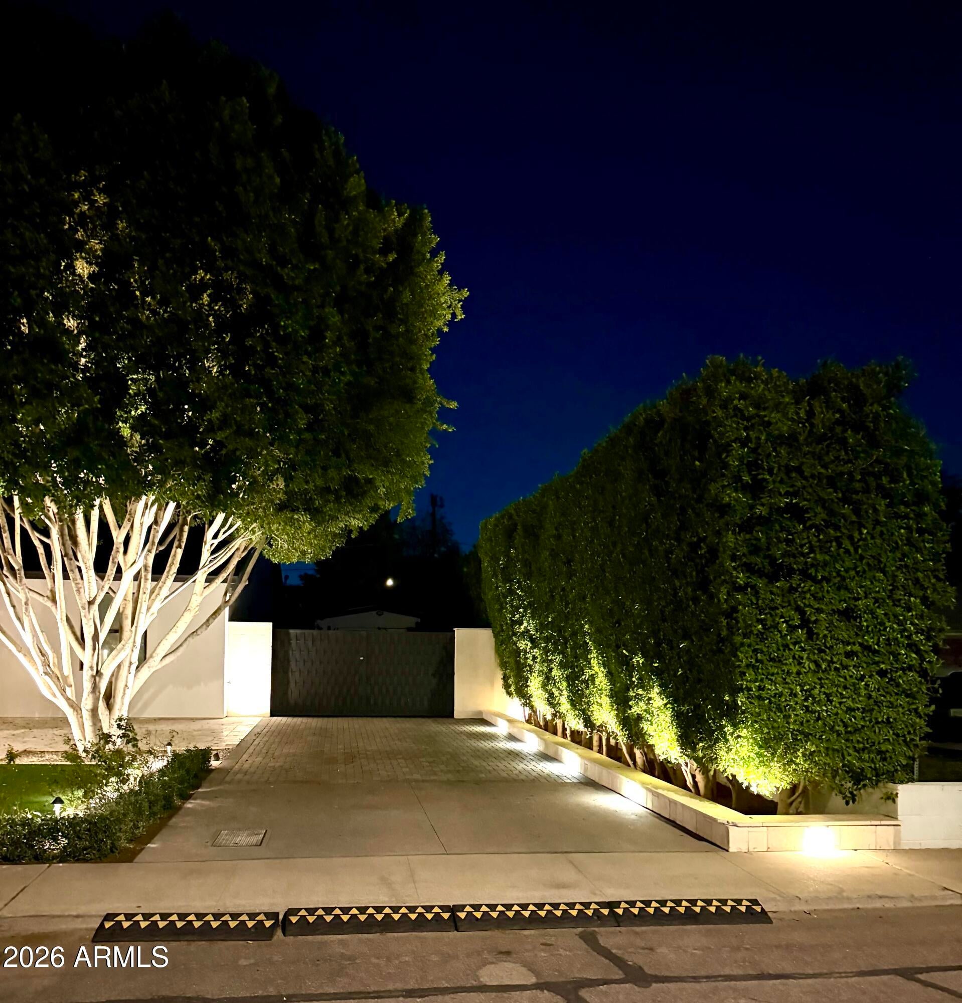 2225 E AMELIA Avenue