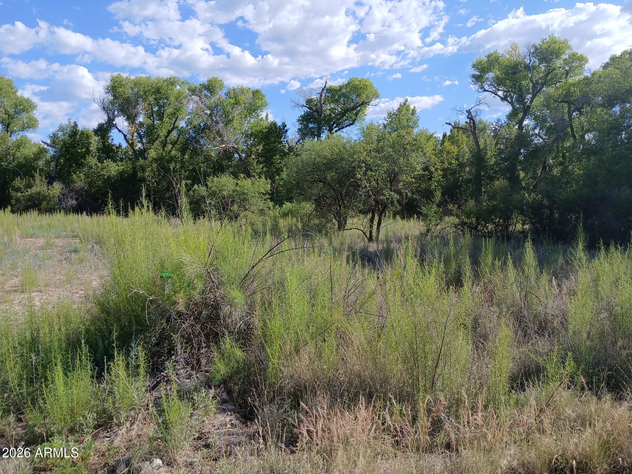 4021 E SPARKLING Lane 58