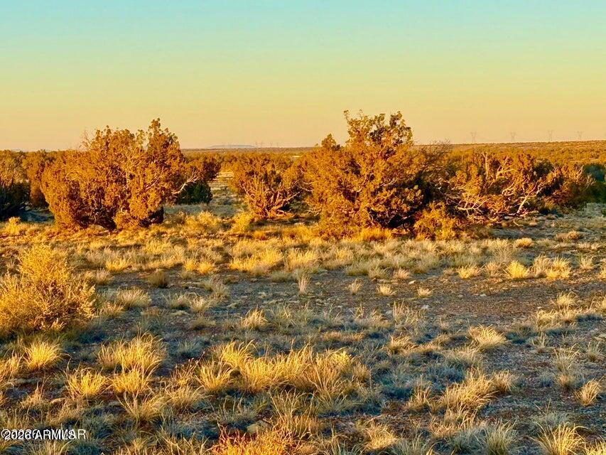 CHEVELON CANYON RANCH UNIT 1 - Land