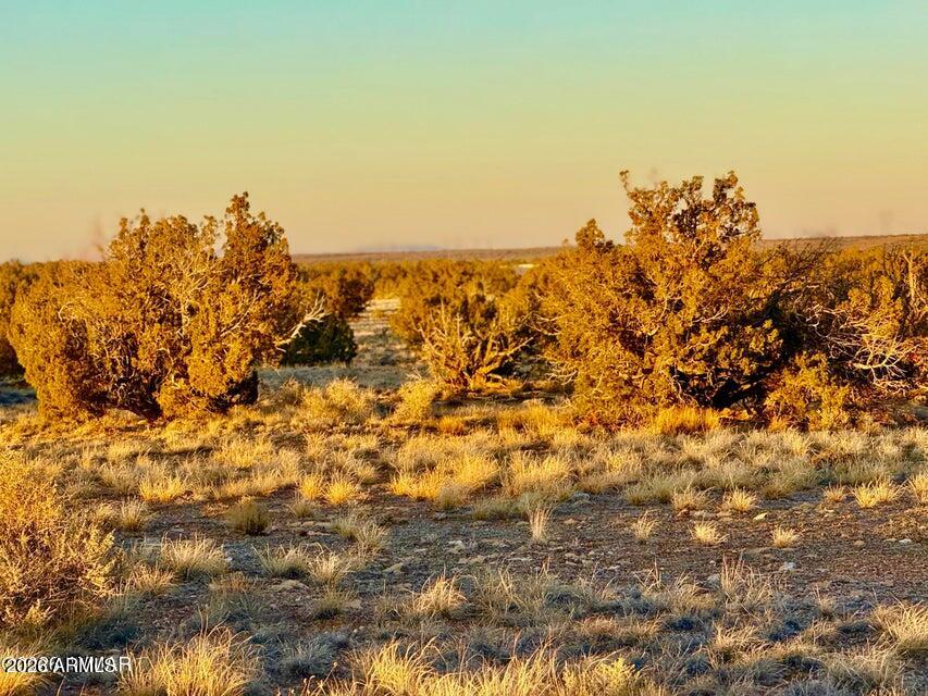 CHEVELON CANYON RANCH UNIT 1 - Land