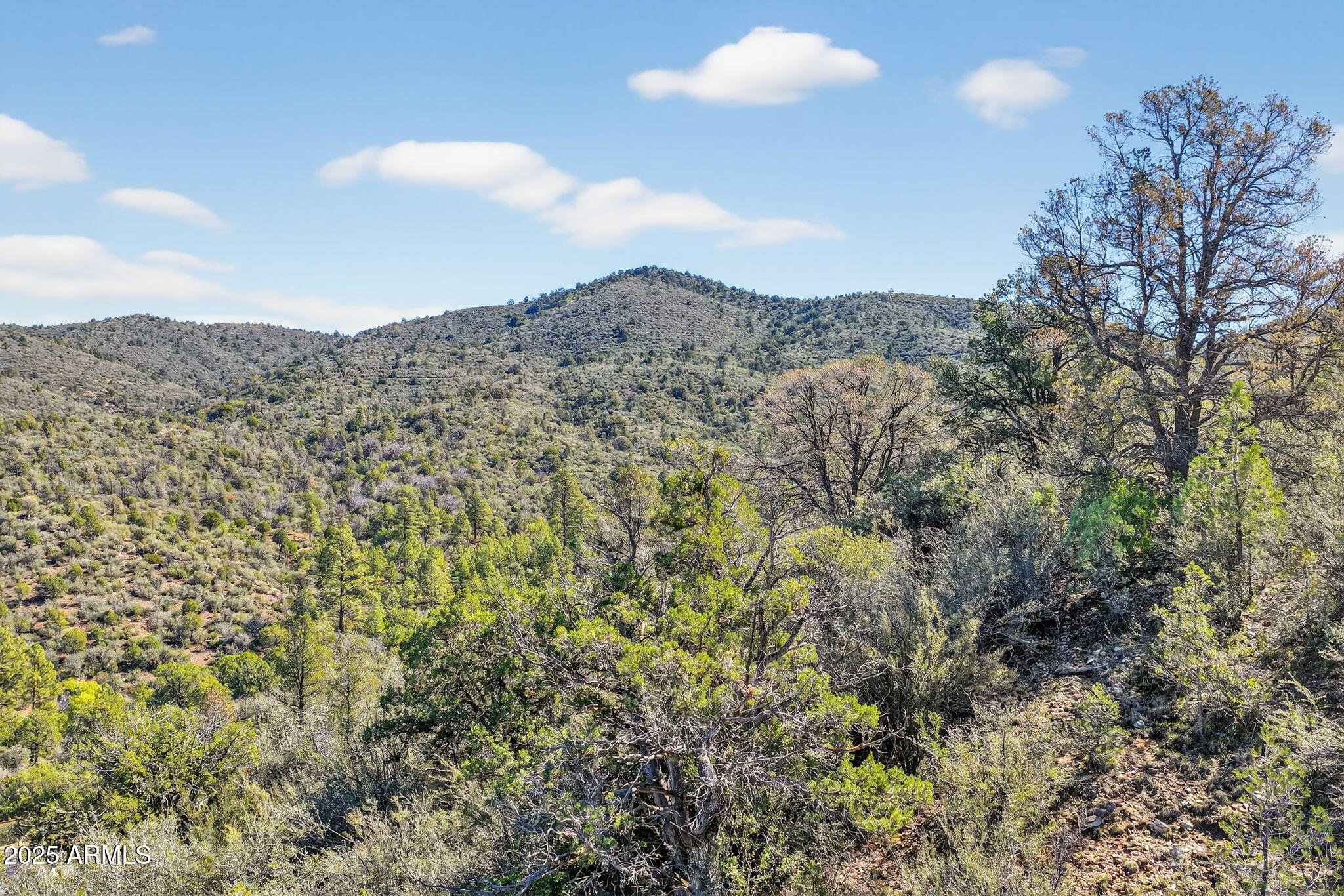 000 S Canyon Drive -