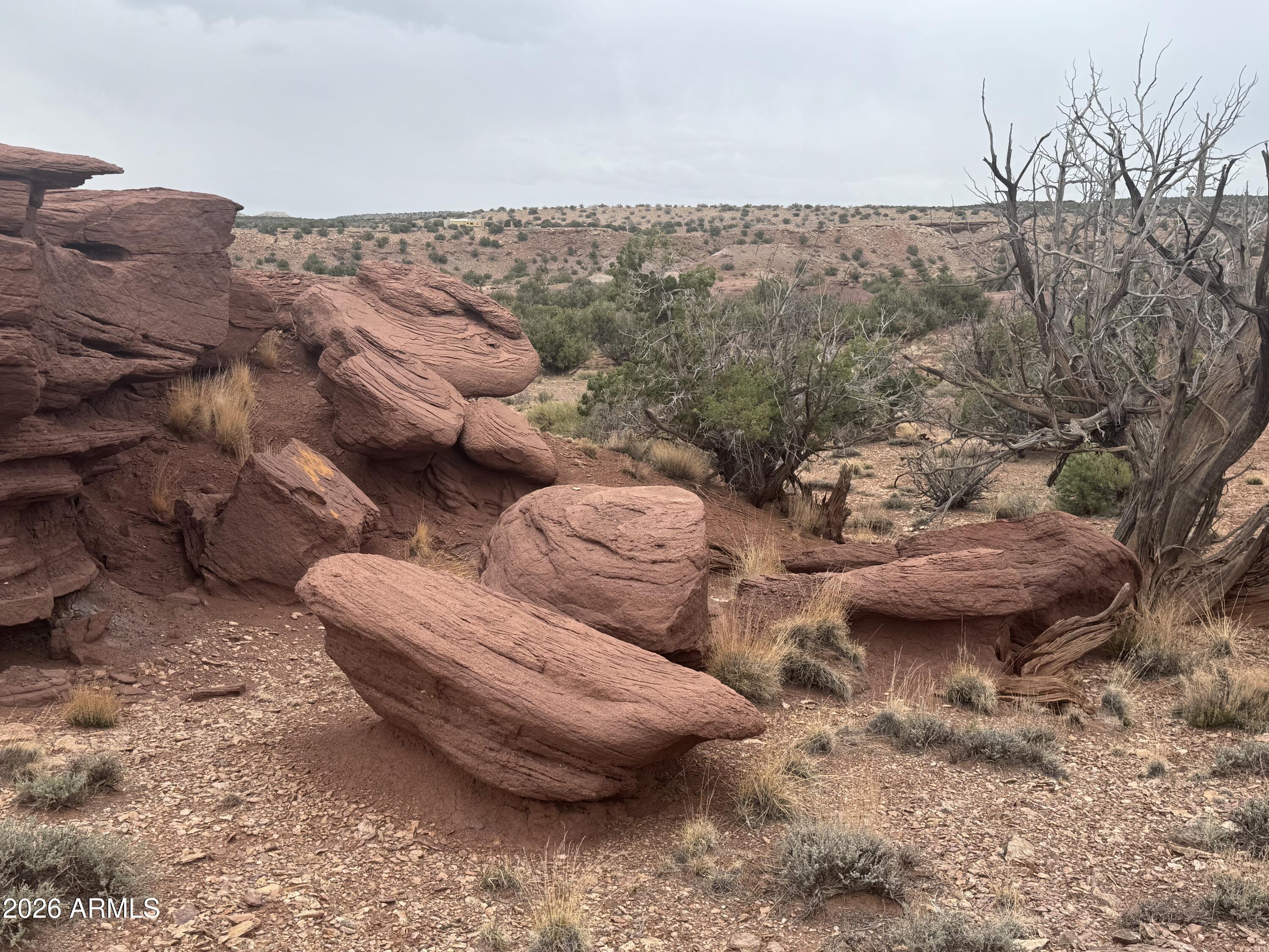 Lot 222 River Springs Ranch -- 222