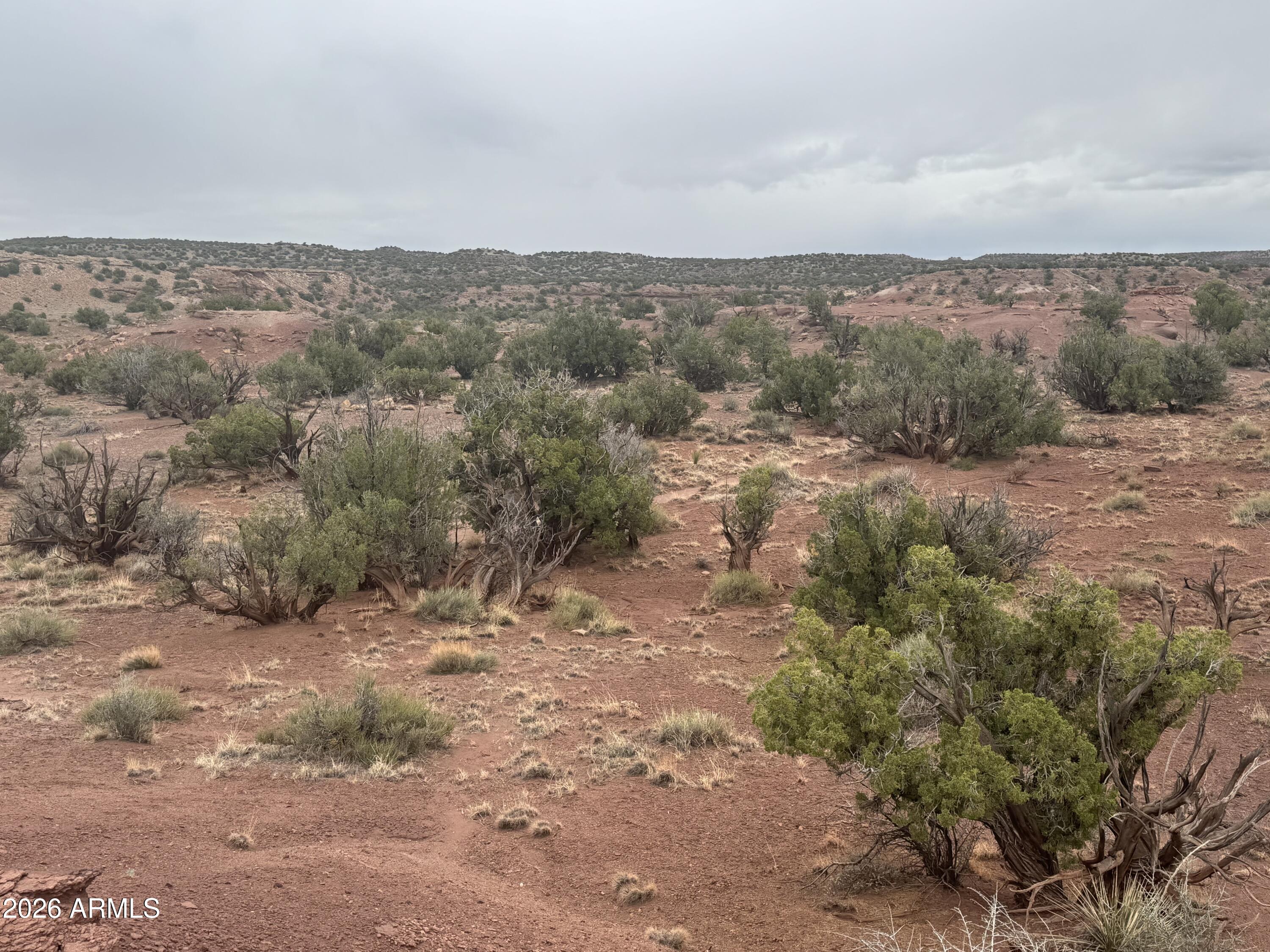 RIVER SPRINGS RANCH UNIT 6 - Land