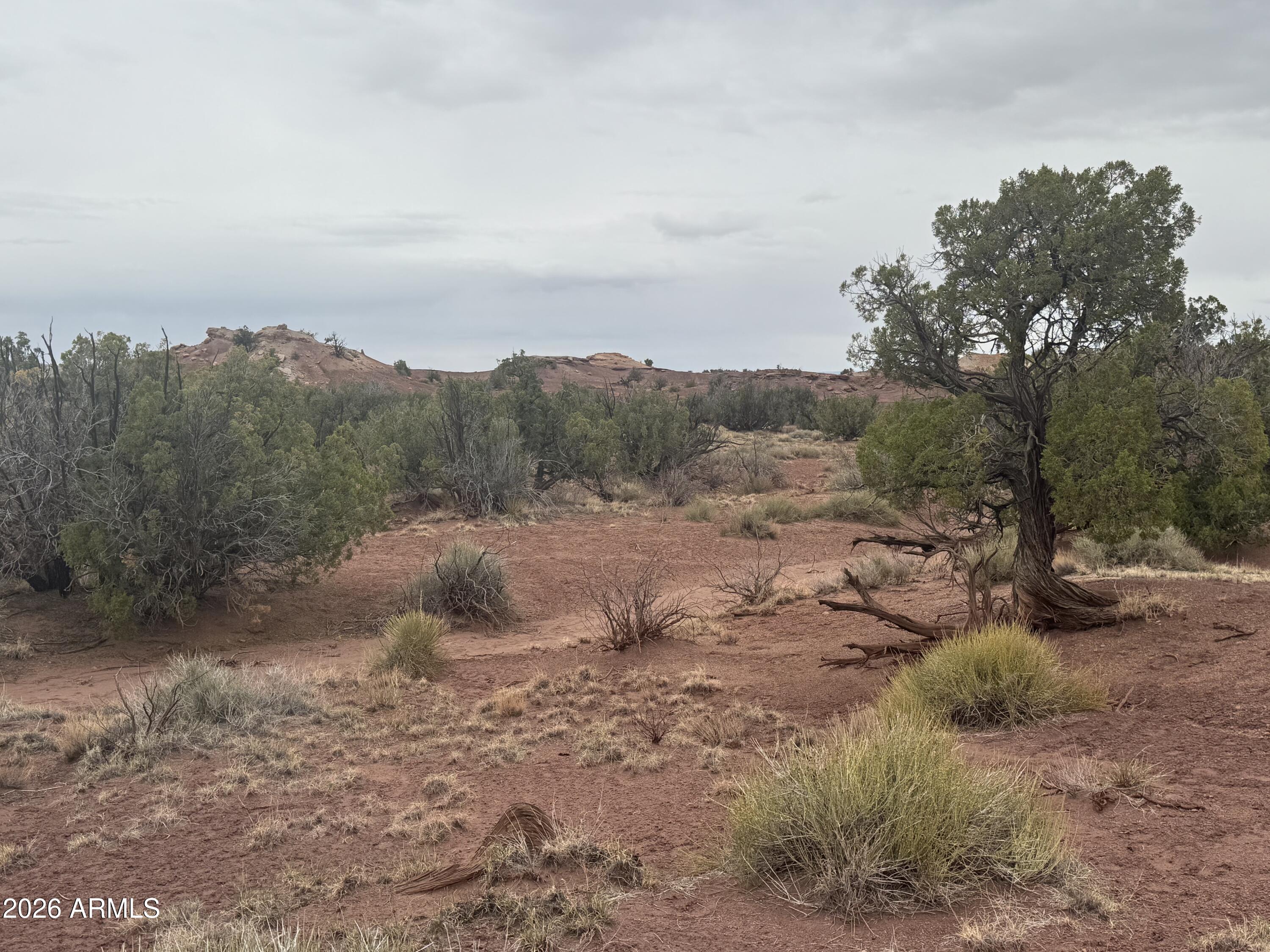 Lot 222 River Springs Ranch -- 222