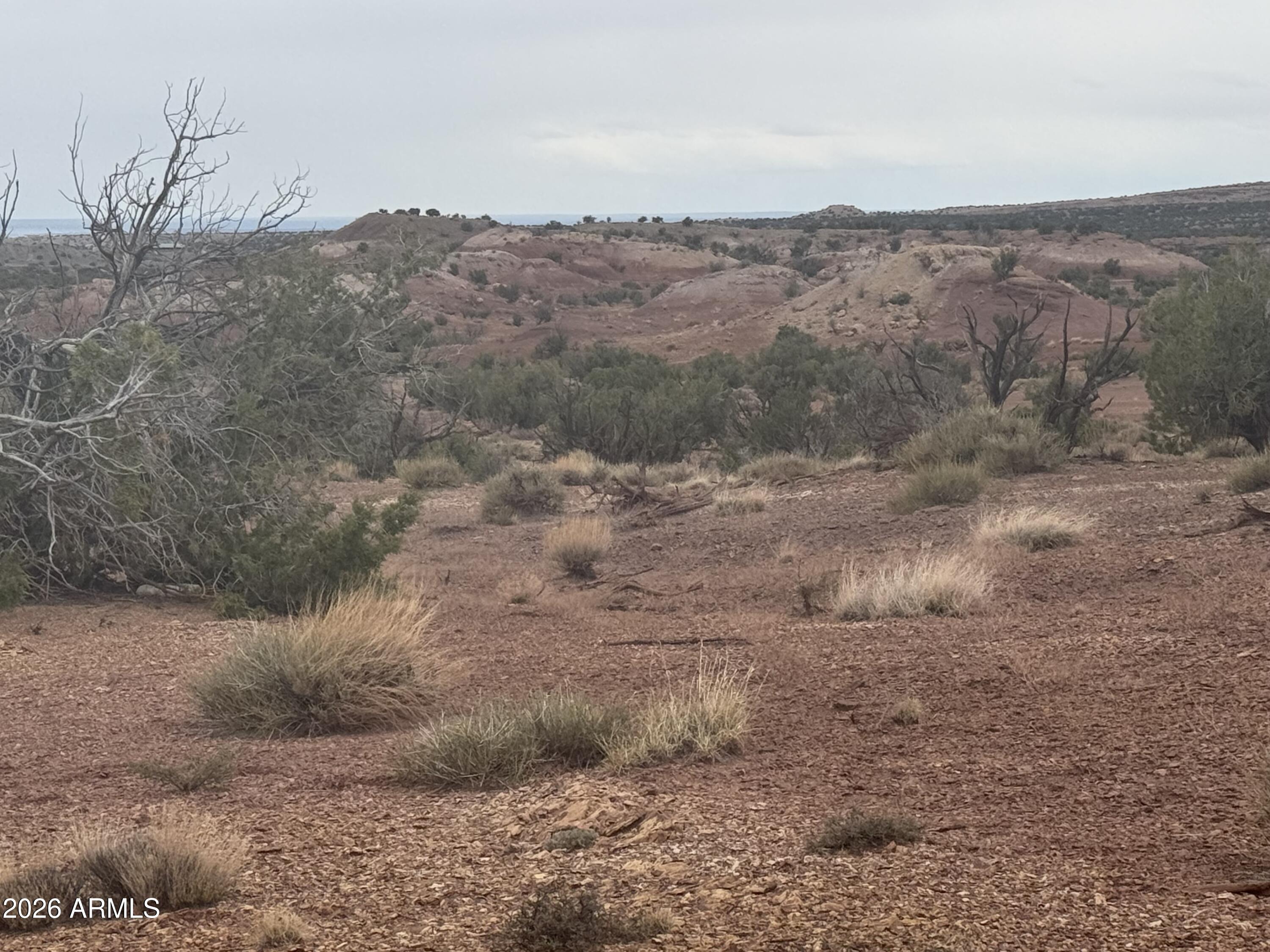 Lot 222 River Springs Ranch -- 222