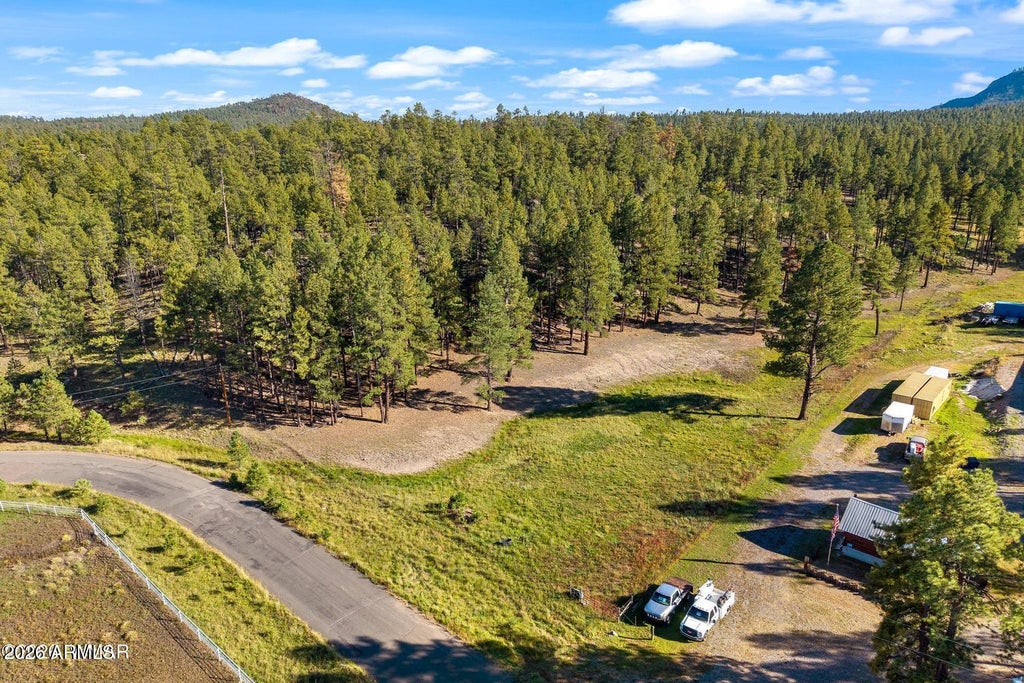 Photo of 158 County Road 2266 #-, Alpine, AZ 85920 (MLS # 7095074)