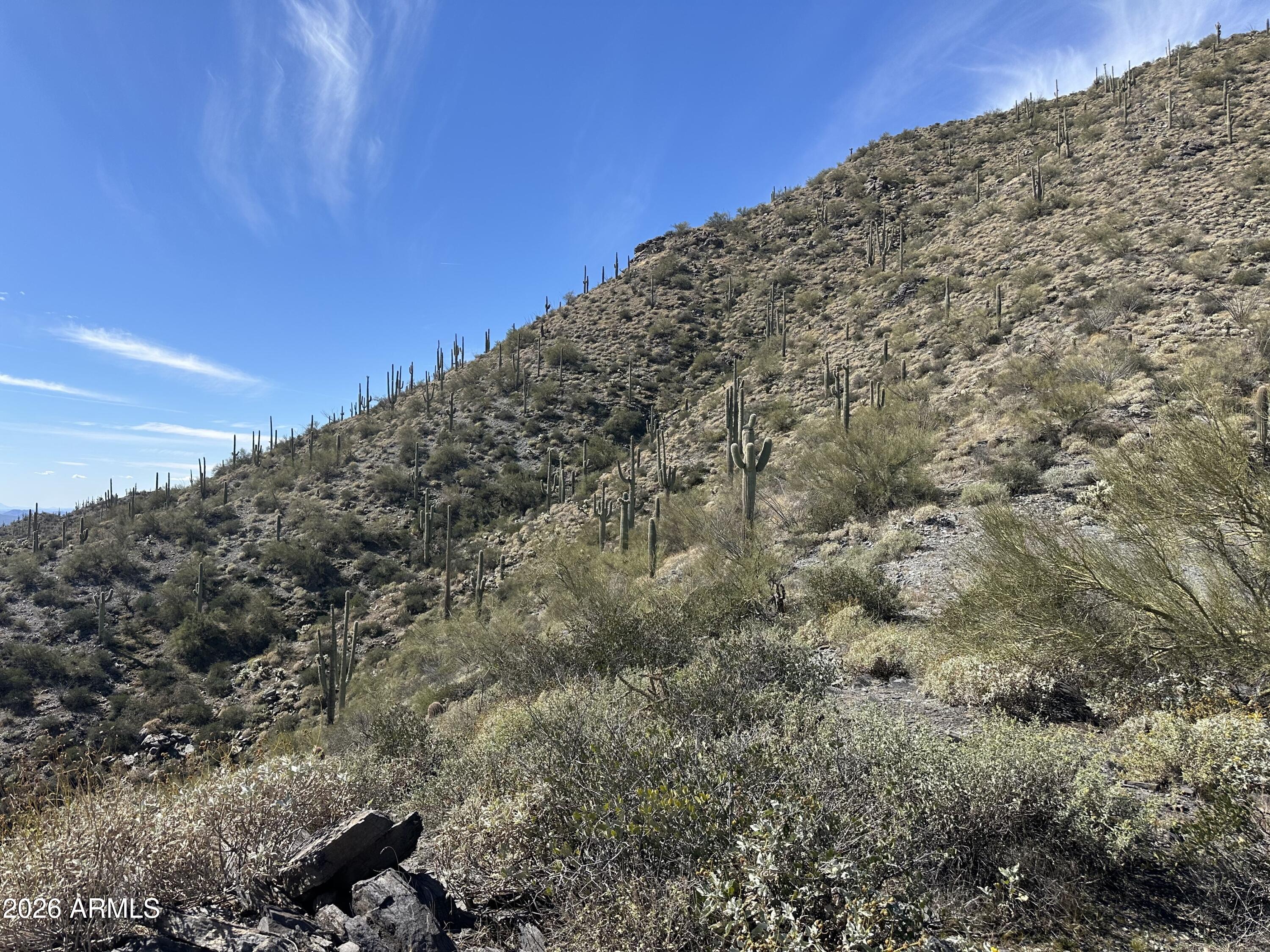 CAREFREE RANCH HOMESTEADS - Land