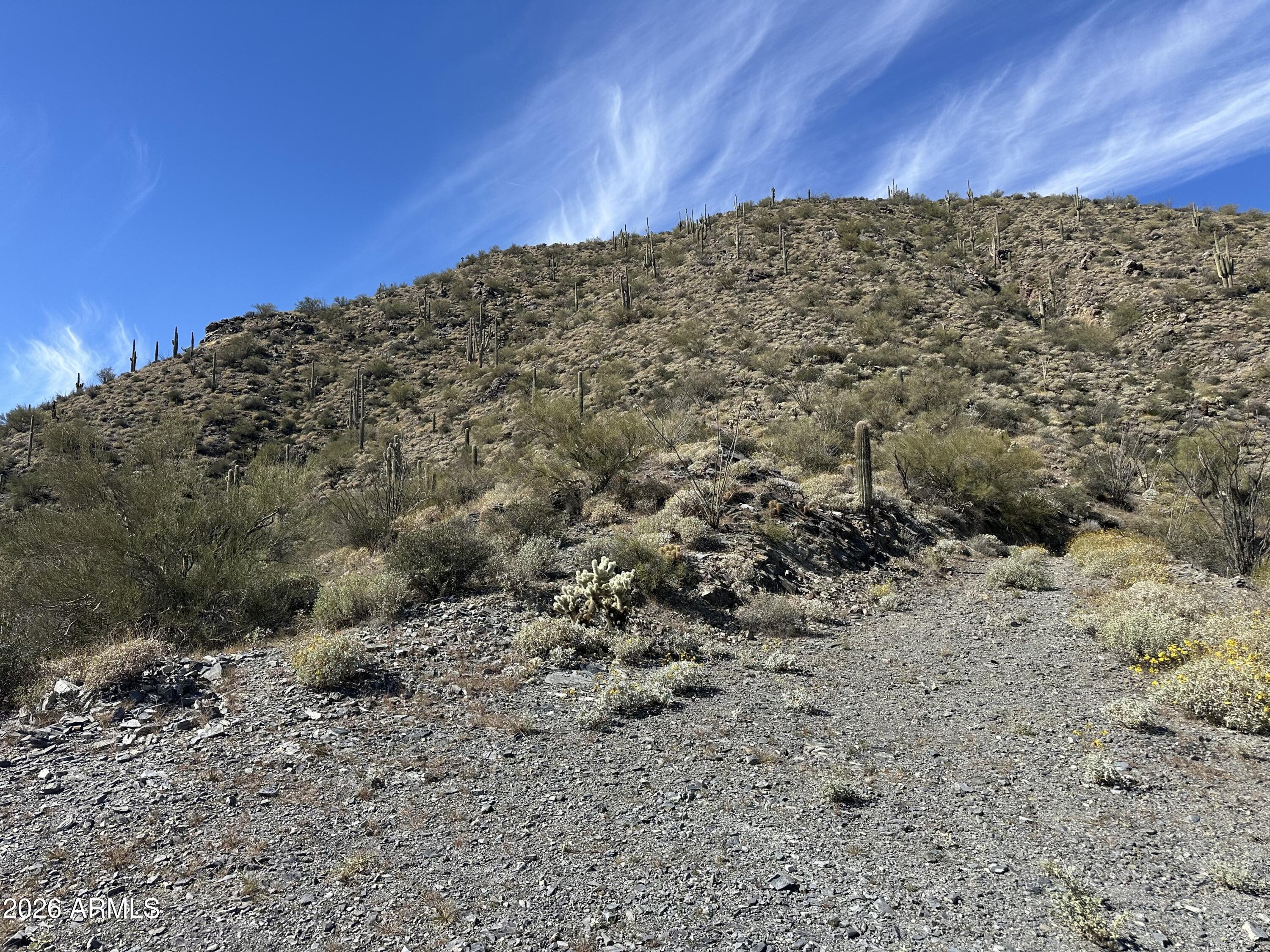 CAREFREE RANCH HOMESTEADS - Land