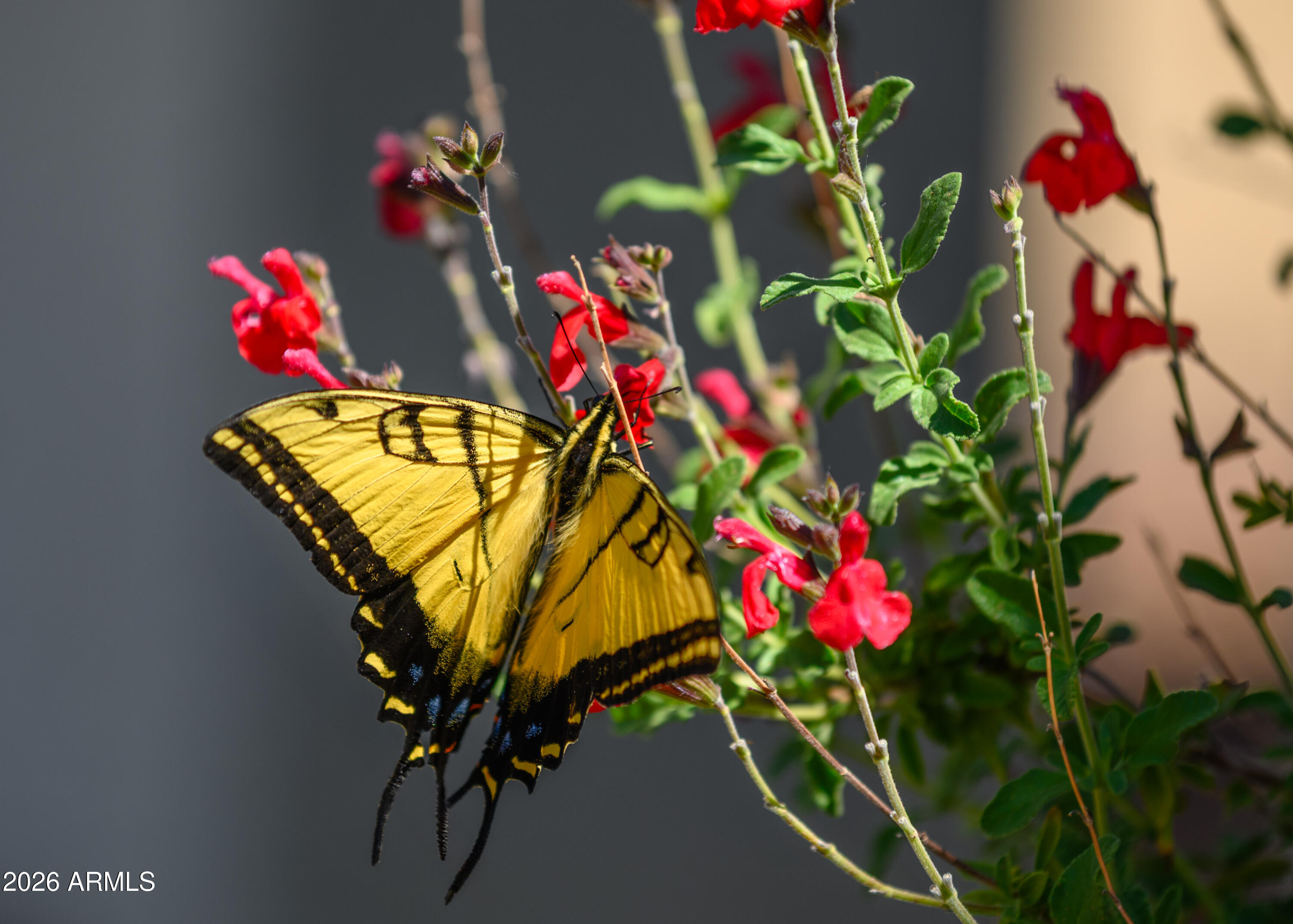 565 Whistle Stop Road