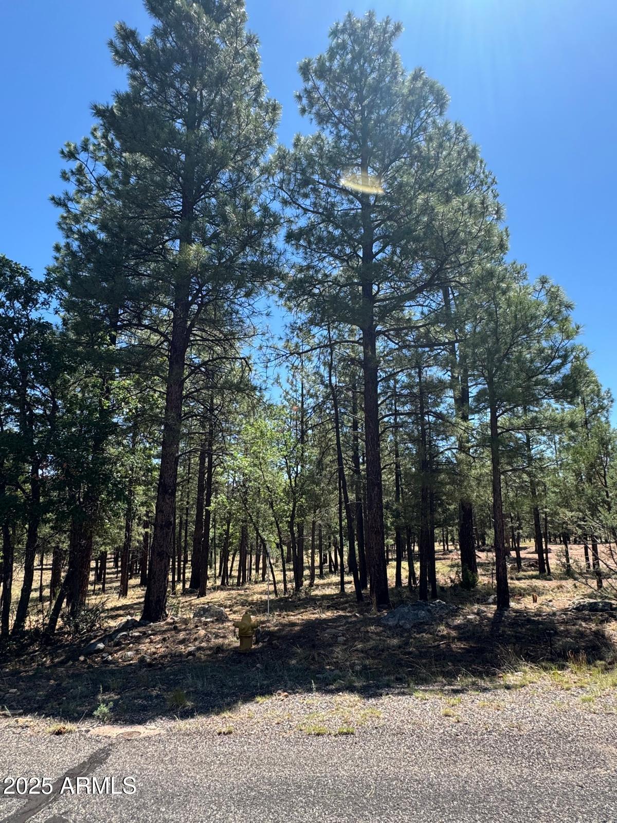 2887 SPARROW Drive 21