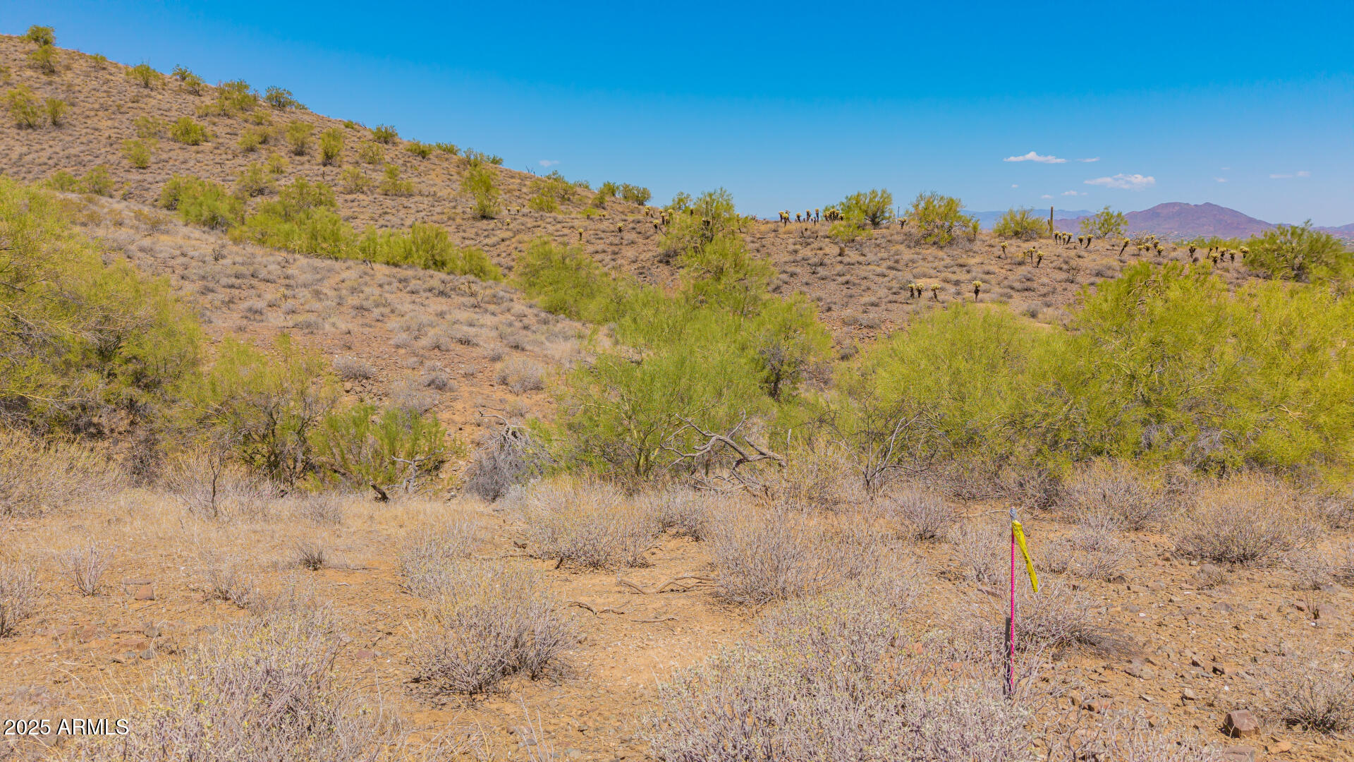 33506 N 5TH Street _-