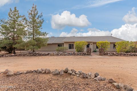 313 W SADDLE MOUNTAIN Road Phoenix AZ 85086