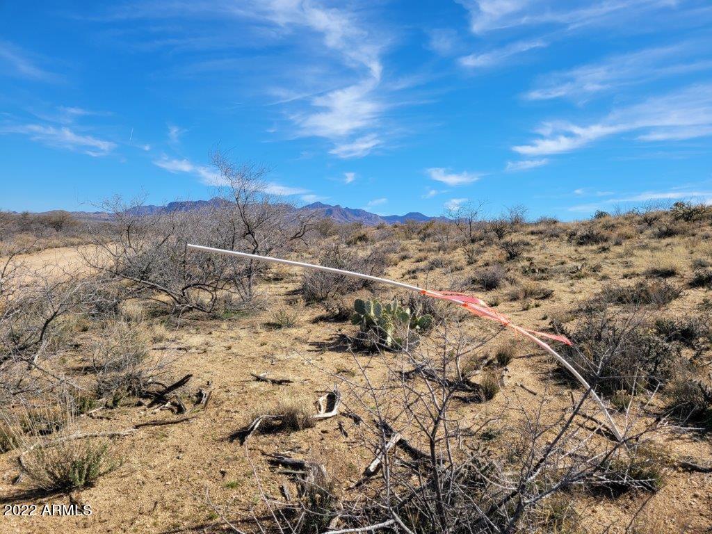 44C W Traveler Way 44C