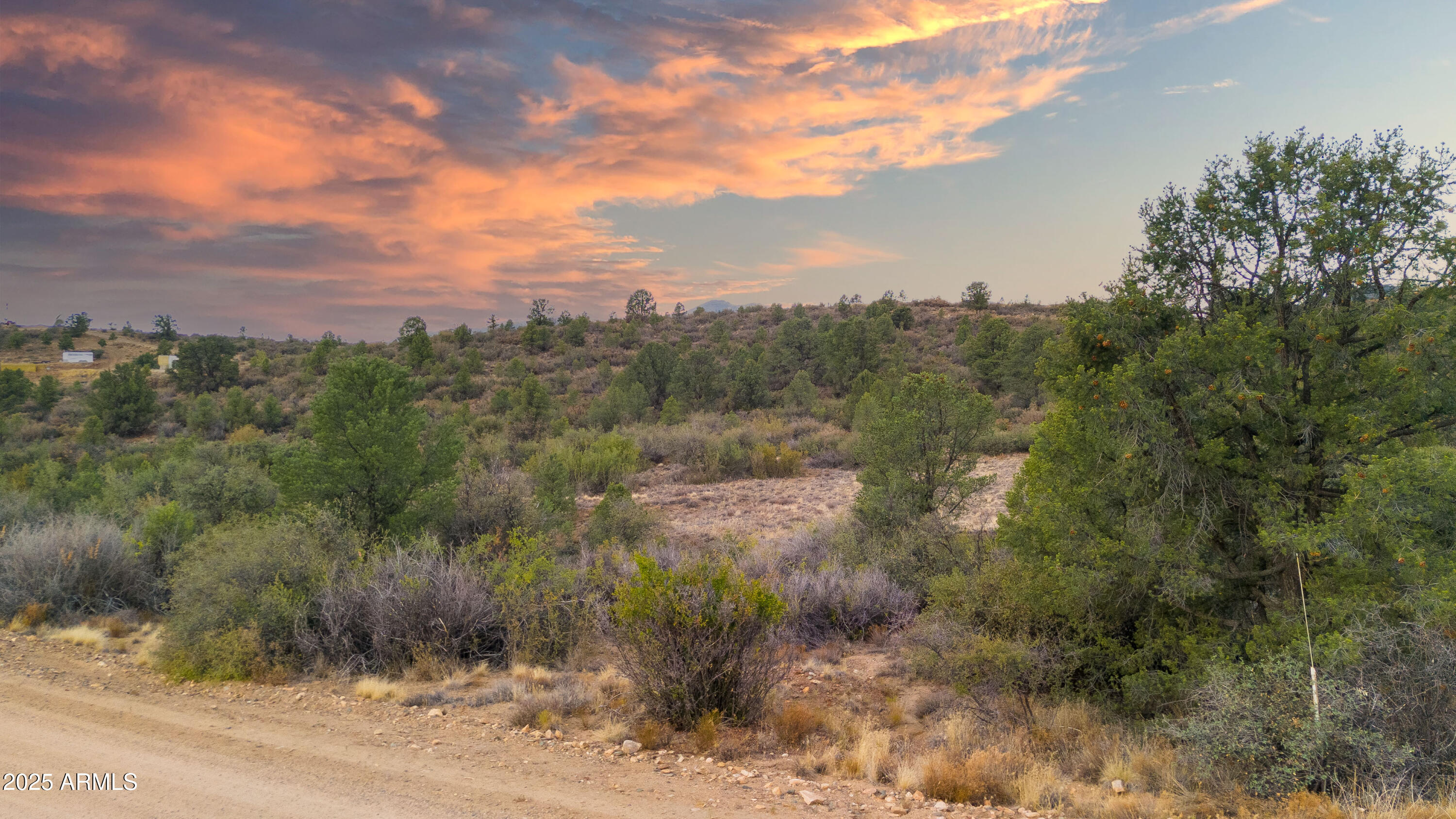 17455 S THUNDER RIDGE Drive 93