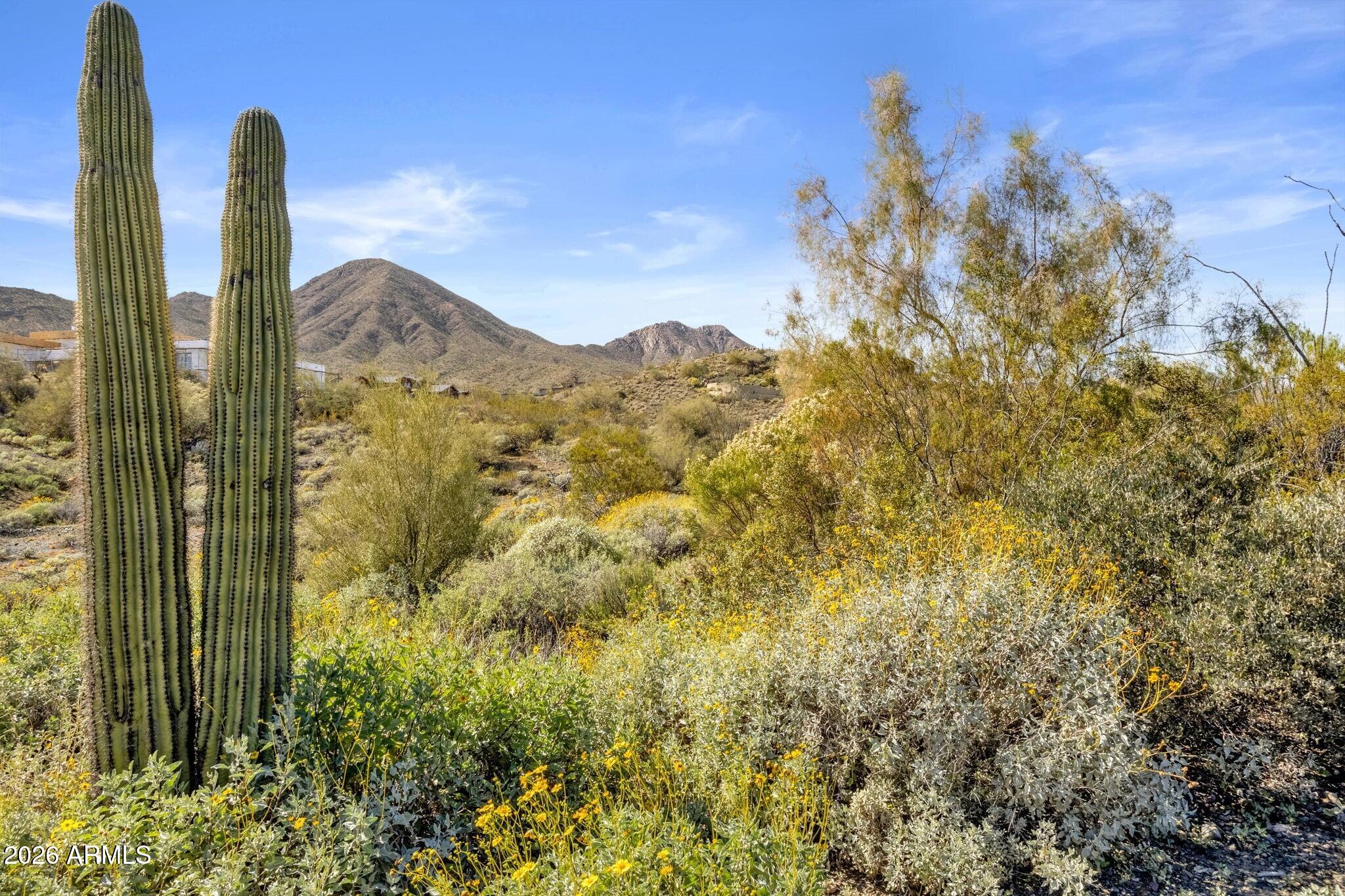 14341 E MOURNING DOVE Drive 84