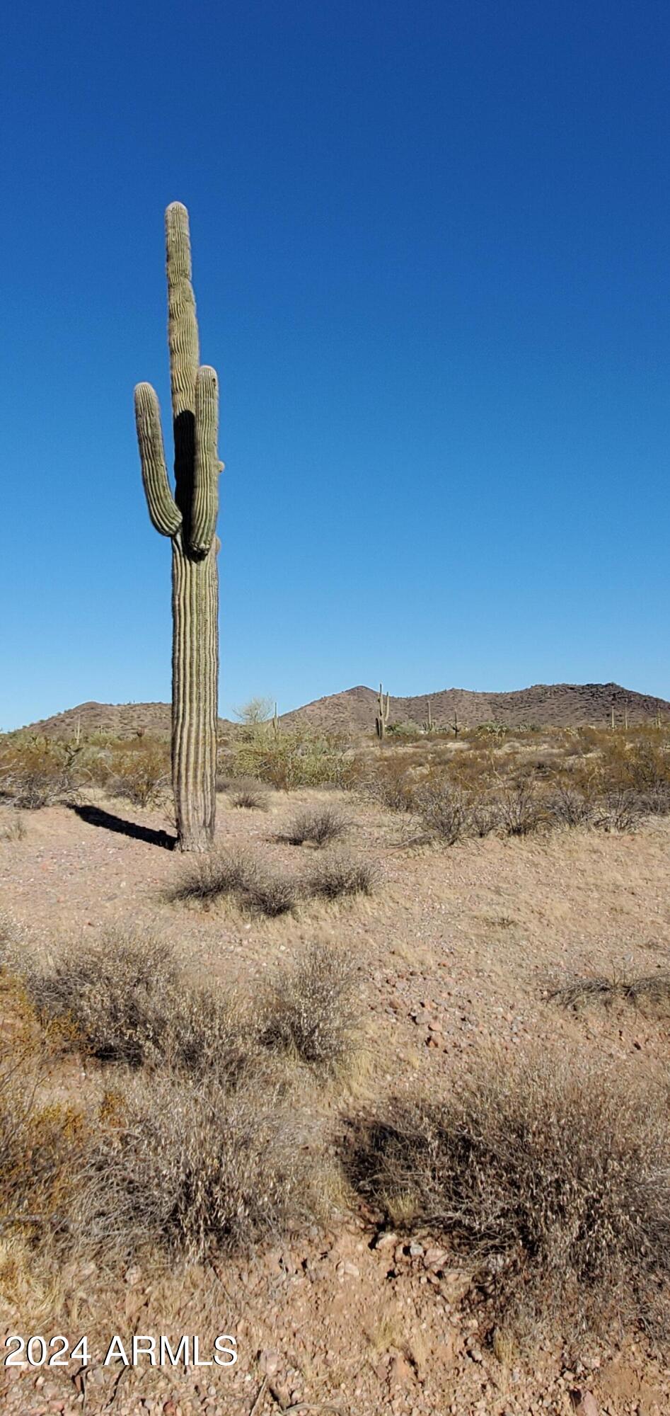 30450 W Villa Cassandra Way 237