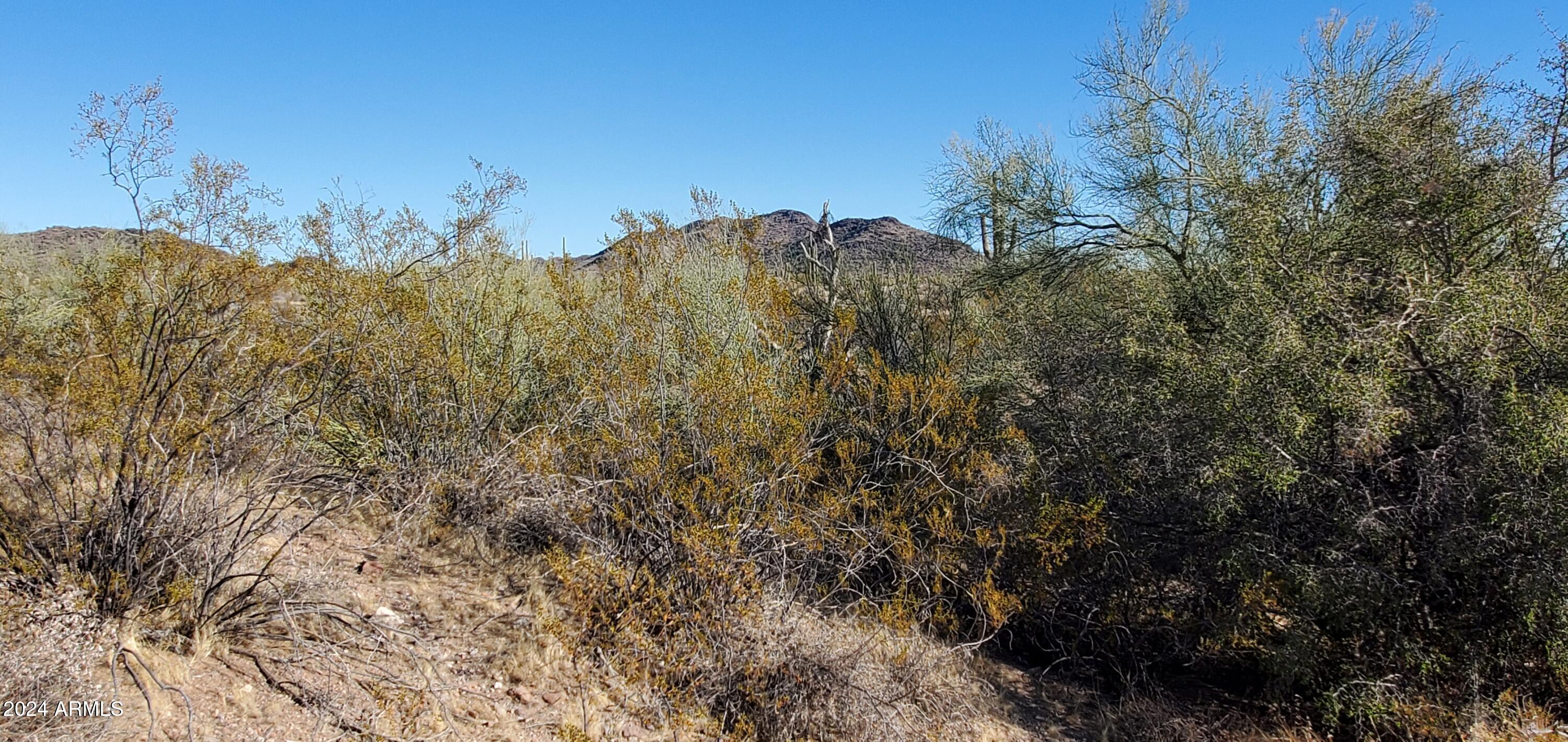 30450 W Villa Cassandra Way 237