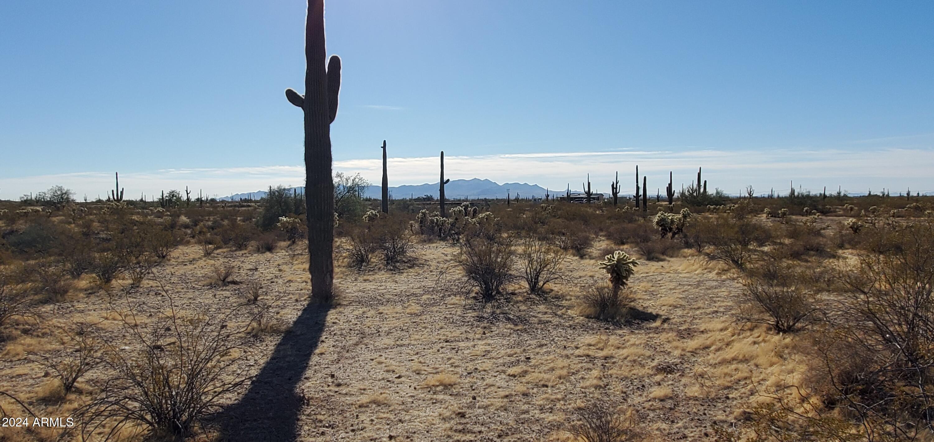 30450 W Villa Cassandra Way 237