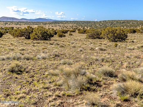 TBD Co Rd 5106 Lot #2 1.1 Acres -- - Concho AZ 85924