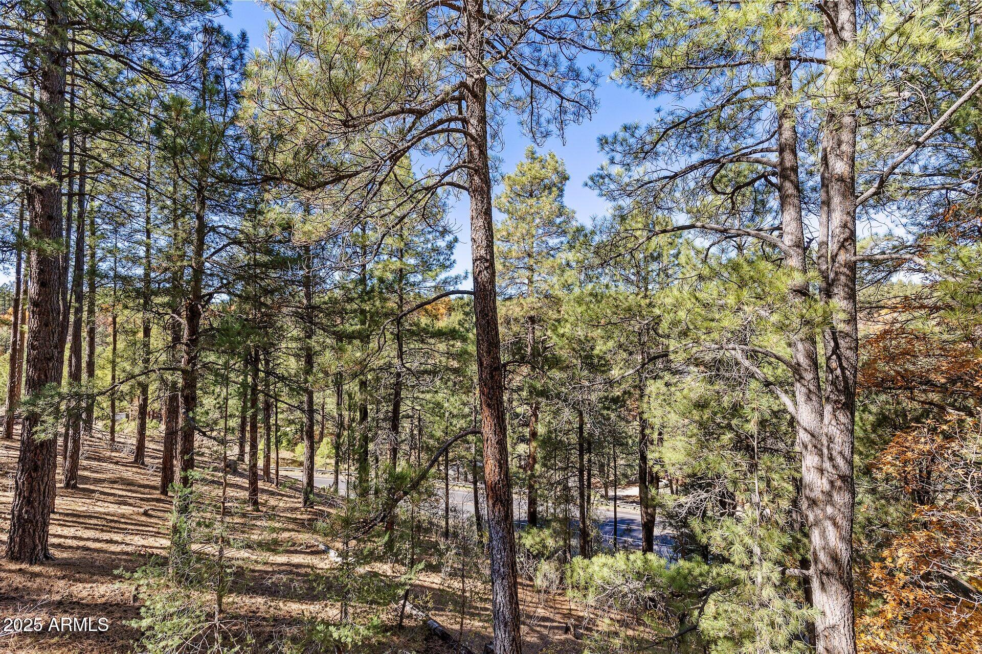 FOREST HIGHLANDS 4 - Residential