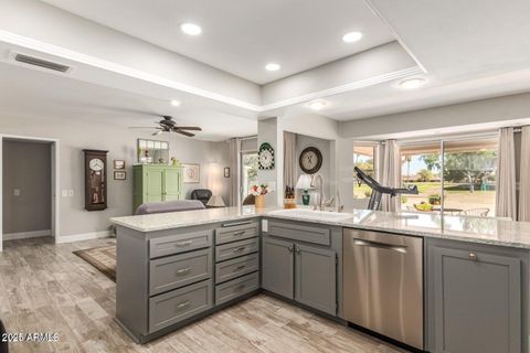 17419 N LINDGREN Avenue Sun City AZ 85373