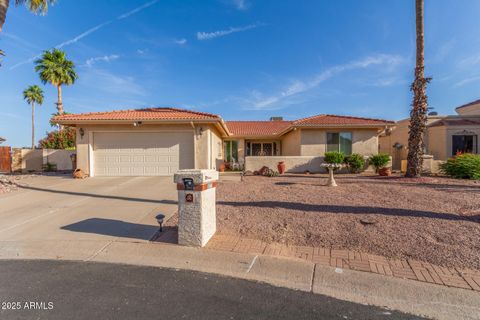 10723 E NAVAJO Place Sun Lakes AZ 85248