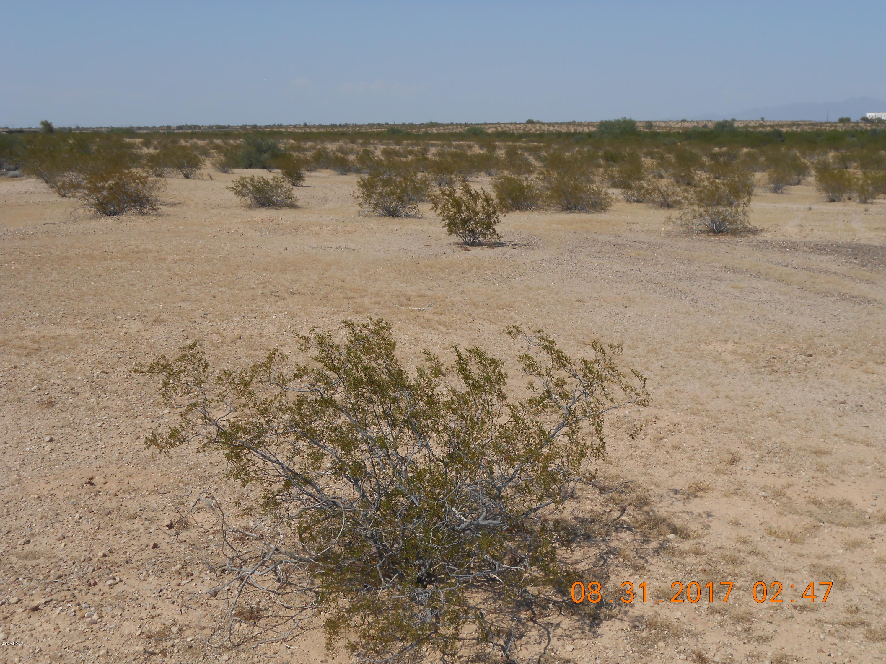 339XX W Carver Road -