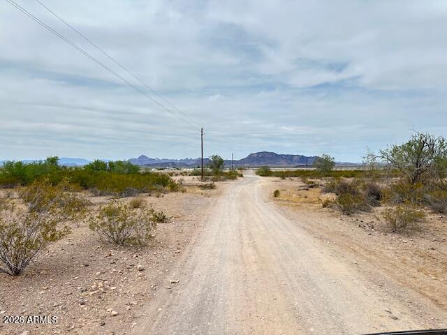 0 W McKinley Street 39