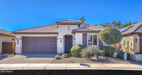 15634 N 109TH Avenue Sun City AZ 85351