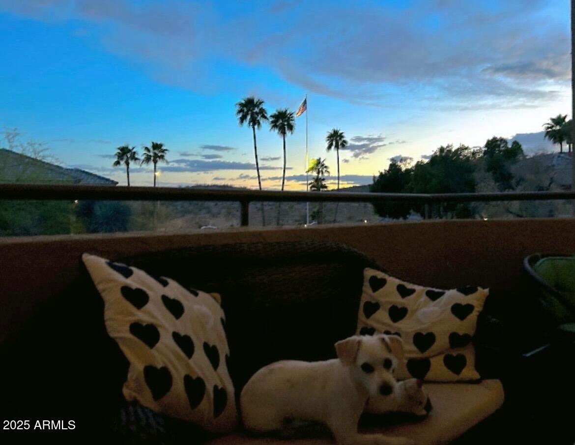 1720 E THUNDERBIRD Road 2003