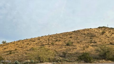 9600 s 37th avenue 1 laveen az 85339