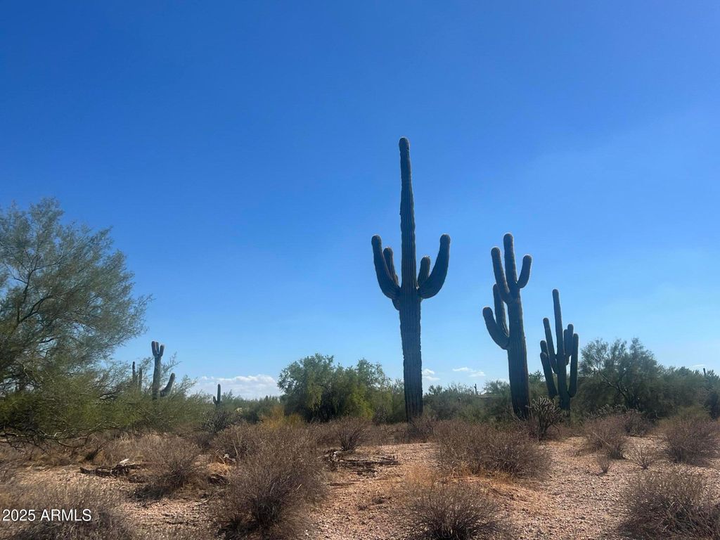 Photo of 33505 N 55th Street #-, Cave Creek, AZ 85331 (MLS # 6827268)