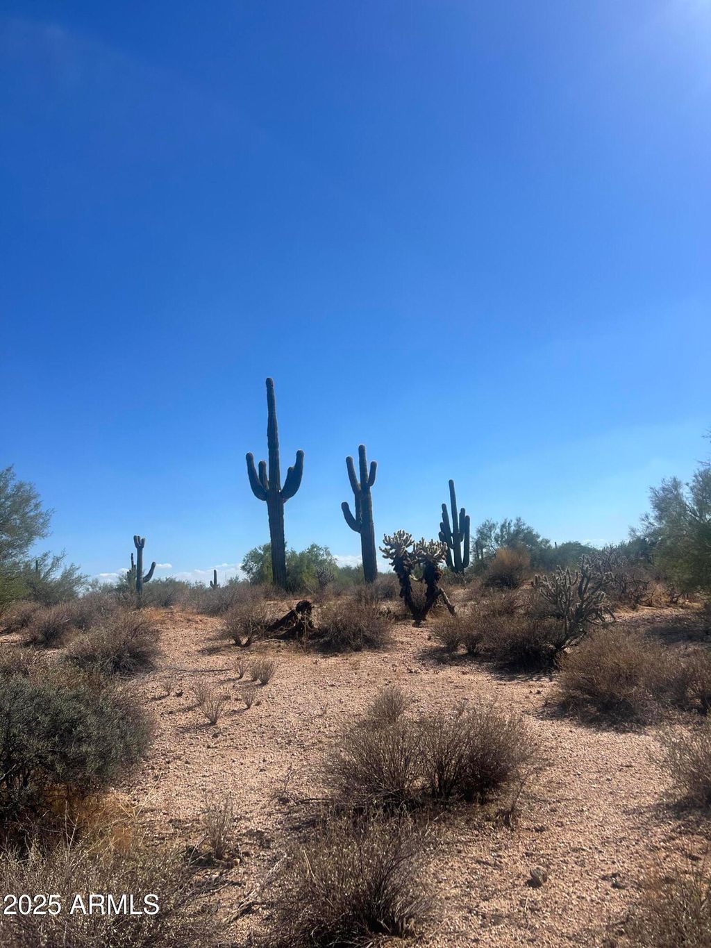 Photo of 33505 N 55th Street #-, Cave Creek, AZ 85331 (MLS # 6827268)